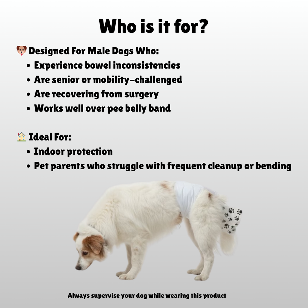 Poop Catcher™ – Disposable Dog Diapers with Poop Pocket