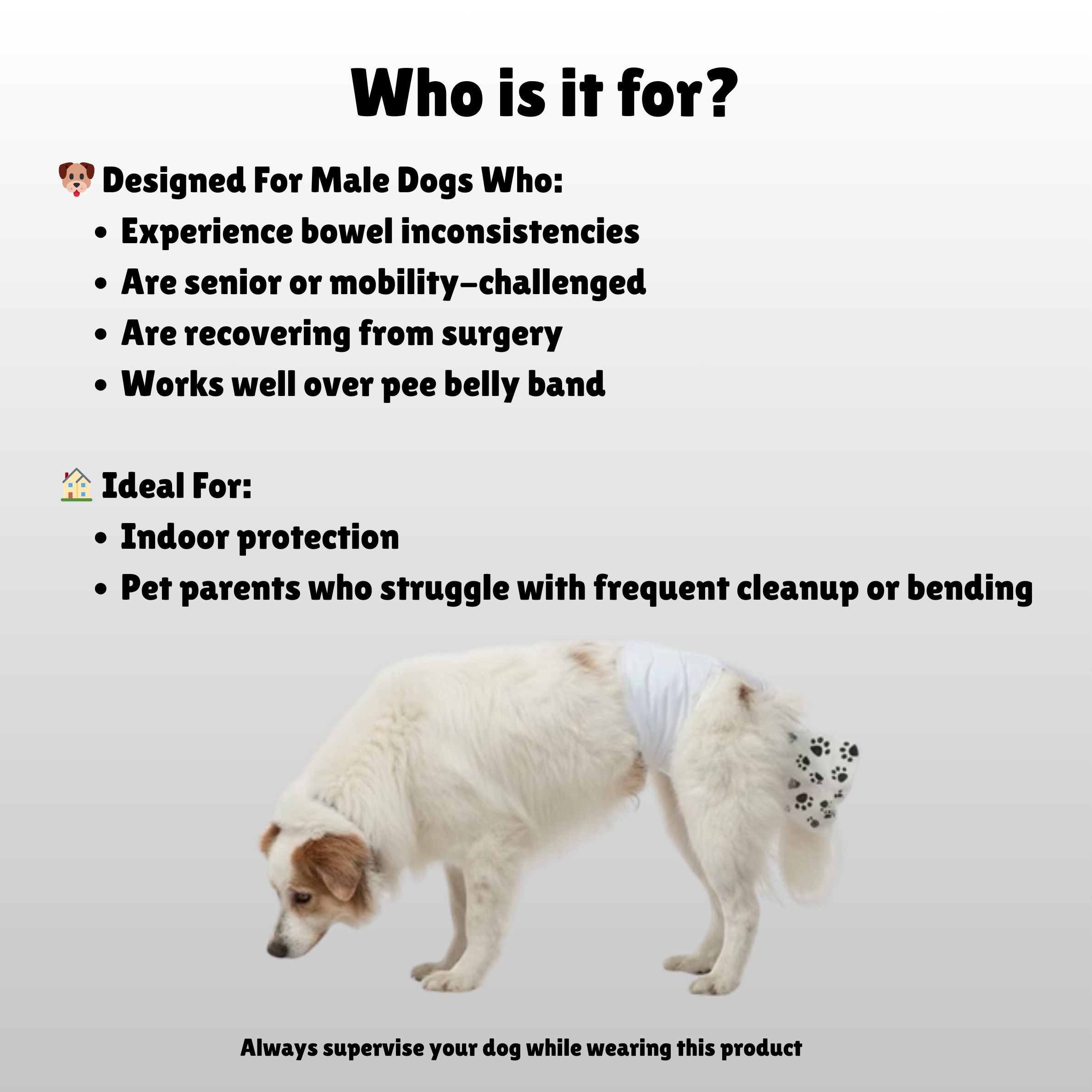 Poop Catcher™ – Disposable Dog Diapers with Poop Pocket