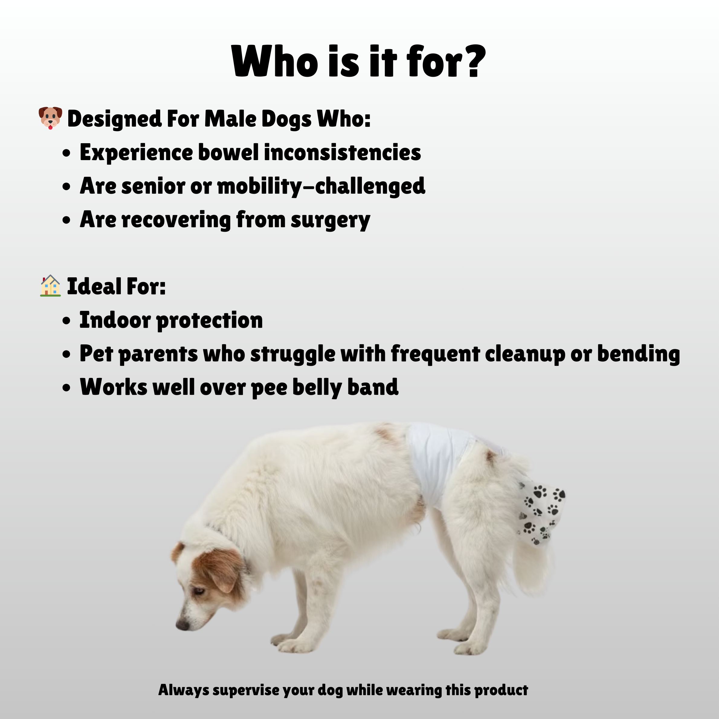 Poop Catcher™ – Disposable Dog Diapers with Poop Pocket