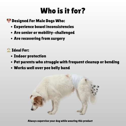 Poop Catcher™ – Disposable Dog Diapers with Poop Pocket